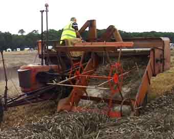 Allis Chalmers Allcrop 60